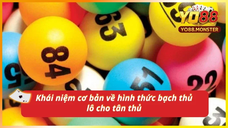 Nắm rõ khái niệm về bạch thủ lô chi tiết nhất