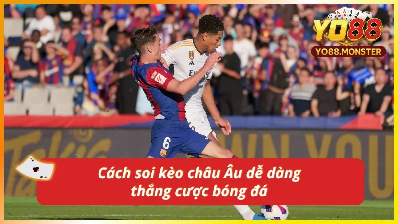 Bí quyết soi kèo Thắng/Thua ăn tiền đậm