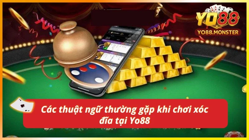 Những thuật ngữ thường gặp trong quá trình chơi xóc đĩa Yo88